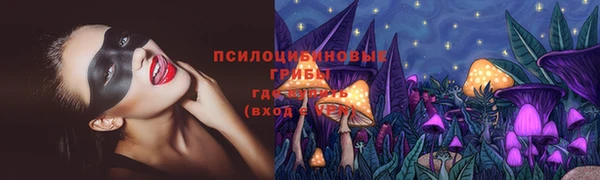 герыч Магас