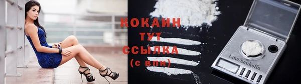 герыч Магас