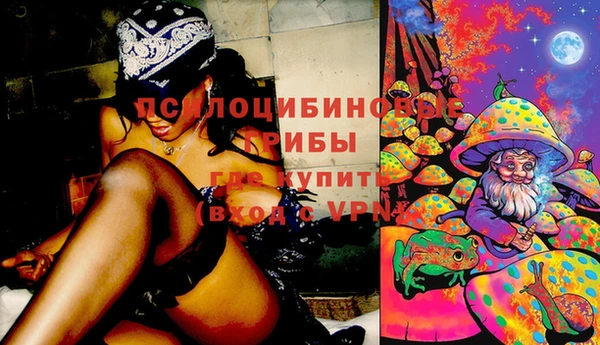 герыч Магас
