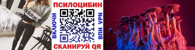 Галлюциногенные грибы Psilocybe  гидра ТОР  Невельск 